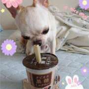 ヒメ日記 2025/07/11 13:41 投稿 萌絵(もえ) 熟女出逢い会 『百合の園』 五反田店