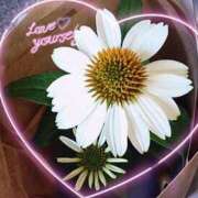 ヒメ日記 2025/07/26 17:56 投稿 萌絵(もえ) 熟女出逢い会 『百合の園』 五反田店