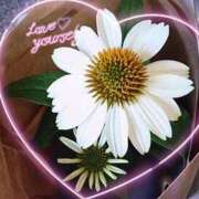 ヒメ日記 2025/09/17 11:41 投稿 萌絵(もえ) 熟女出逢い会 『百合の園』 五反田店