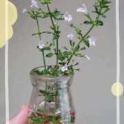 ヒメ日記 2025/09/21 10:51 投稿 萌絵(もえ) 熟女出逢い会 『百合の園』 五反田店