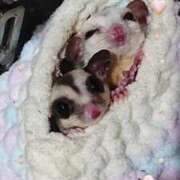 ヒメ日記 2025/10/27 11:41 投稿 萌絵(もえ) 熟女出逢い会 『百合の園』 五反田店