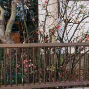 ヒメ日記 2026/01/03 16:59 投稿 萌絵(もえ) 熟女出逢い会 『百合の園』 五反田店