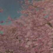 ヒメ日記 2025/03/30 07:01 投稿 まこ 池袋で熟女の風俗 マダムいやーん