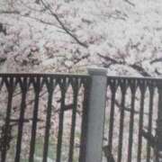 ヒメ日記 2025/04/02 07:27 投稿 まこ 池袋で熟女の風俗 マダムいやーん