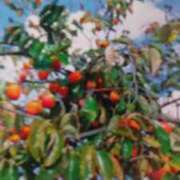 ヒメ日記 2025/04/12 07:02 投稿 まこ 池袋で熟女の風俗 マダムいやーん