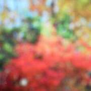 ヒメ日記 2025/05/03 07:17 投稿 まこ 池袋で熟女の風俗 マダムいやーん