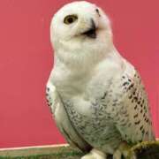 ヒメ日記 2024/12/26 08:24 投稿 ゆき 名古屋痴女性感フェチ倶楽部