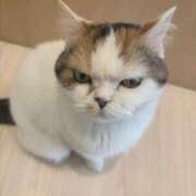 ヒメ日記 2025/05/13 20:37 投稿 ゆき 名古屋痴女性感フェチ倶楽部