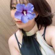 ヒメ日記 2025/05/15 10:57 投稿 ゆき 名古屋痴女性感フェチ倶楽部