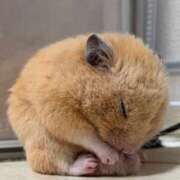 ヒメ日記 2025/05/29 14:47 投稿 ゆき 名古屋痴女性感フェチ倶楽部