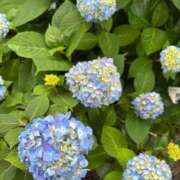 ヒメ日記 2025/06/01 16:59 投稿 ゆき 名古屋痴女性感フェチ倶楽部