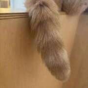 ヒメ日記 2025/09/03 07:37 投稿 ゆき 名古屋痴女性感フェチ倶楽部