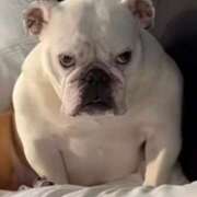 ヒメ日記 2025/09/17 17:40 投稿 ゆき 名古屋痴女性感フェチ倶楽部