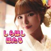 ヒメ日記 2024/12/13 17:32 投稿 白星ほたる 皇帝別館（こうていべっかん）