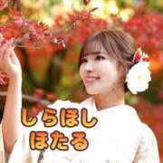 ヒメ日記 2024/12/18 21:16 投稿 白星ほたる 皇帝別館（こうていべっかん）