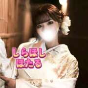 ヒメ日記 2025/01/02 20:06 投稿 白星ほたる 皇帝別館（こうていべっかん）