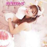 ヒメ日記 2025/02/06 19:06 投稿 白星ほたる 皇帝別館（こうていべっかん）