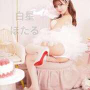 ヒメ日記 2025/02/08 09:16 投稿 白星ほたる 皇帝別館（こうていべっかん）