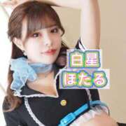 ヒメ日記 2025/02/20 21:10 投稿 白星ほたる 皇帝別館（こうていべっかん）