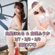 ヒメ日記 2025/02/23 12:47 投稿 白星ほたる 皇帝別館（こうていべっかん）