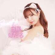 ヒメ日記 2025/04/01 20:16 投稿 白星ほたる 皇帝別館（こうていべっかん）