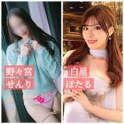 ヒメ日記 2025/04/02 11:58 投稿 白星ほたる 皇帝別館（こうていべっかん）