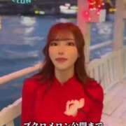 ヒメ日記 2025/04/15 17:46 投稿 白星ほたる 皇帝別館（こうていべっかん）