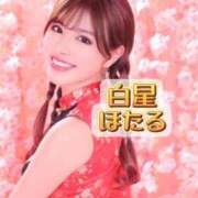 ヒメ日記 2025/04/26 08:16 投稿 白星ほたる 皇帝別館（こうていべっかん）