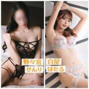 ヒメ日記 2025/05/01 22:46 投稿 白星ほたる 皇帝別館（こうていべっかん）