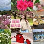 ヒメ日記 2025/05/11 15:16 投稿 白星ほたる 皇帝別館（こうていべっかん）