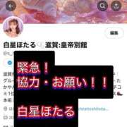 ヒメ日記 2025/06/16 11:58 投稿 白星ほたる 皇帝別館（こうていべっかん）