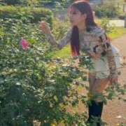 ヒメ日記 2025/11/14 11:56 投稿 白星ほたる 皇帝別館（こうていべっかん）