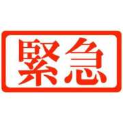 ヒメ日記 2025/11/17 22:42 投稿 白星ほたる 皇帝別館（こうていべっかん）