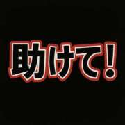 ヒメ日記 2025/11/20 05:46 投稿 白星ほたる 皇帝別館（こうていべっかん）
