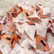 ヒメ日記 2025/11/28 08:26 投稿 白星ほたる 皇帝別館（こうていべっかん）