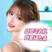 ヒメ日記 2025/12/12 20:21 投稿 白星ほたる 皇帝別館（こうていべっかん）