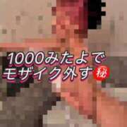 ヒメ日記 2025/12/14 07:56 投稿 白星ほたる 皇帝別館（こうていべっかん）