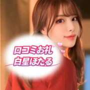 ヒメ日記 2025/12/26 15:06 投稿 白星ほたる 皇帝別館（こうていべっかん）