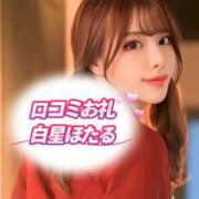 白星ほたる いつまでも守りたいこと 皇帝別館（こうていべっかん）