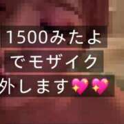 ヒメ日記 2026/01/16 06:16 投稿 白星ほたる 皇帝別館（こうていべっかん）