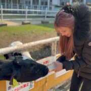 ヒメ日記 2026/01/24 12:42 投稿 白星ほたる 皇帝別館（こうていべっかん）