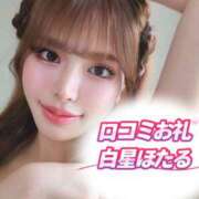 ヒメ日記 2026/03/11 12:46 投稿 白星ほたる 皇帝別館（こうていべっかん）