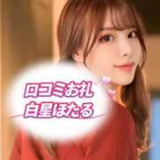 ヒメ日記 2026/08/11 12:26 投稿 白星ほたる 皇帝別館（こうていべっかん）