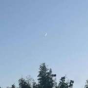 ヒメ日記 2025/03/21 20:27 投稿 まりん スパーク日本橋