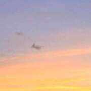 ヒメ日記 2025/07/26 08:03 投稿 まりん スパーク日本橋