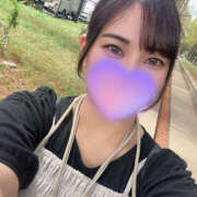 ヒメ日記 2025/11/14 09:03 投稿 ゆき 鎌倉御殿 新館