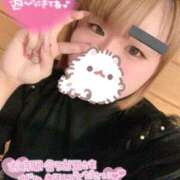 ヒメ日記 2025/08/17 00:39 投稿 ゆゆ サンキュー町田・相模原店