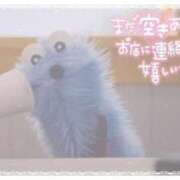 ヒメ日記 2025/09/08 13:59 投稿 ゆゆ サンキュー町田・相模原店