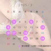 ヒメ日記 2025/03/02 12:08 投稿 ゆきの エマーブル