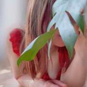 ヒメ日記 2025/03/26 11:47 投稿 みずき 奥様電車